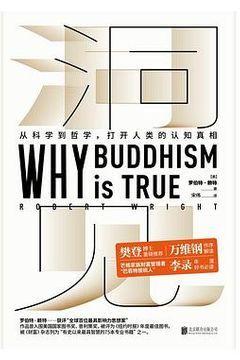 洞见 洞见