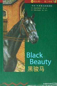 黑骏马 黑骏马